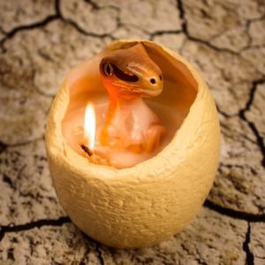 Dinosaur Gifts - Hatching Dinosaur Egg Candle