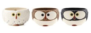 Gifts for Animal Lovers - Owl Gifts
