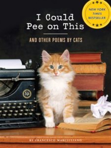 Gifts for Cat Lovers - I Could Pee on This