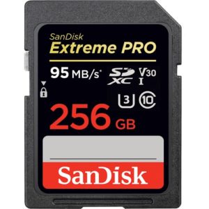 Gifts for Photographers - SanDisk Extreme Pro 256GB SD Card