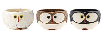 Gifts for owl lovers - owl mugs
